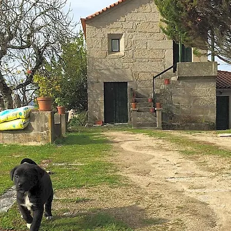 Quinta Vale De Lavao ゴウヴェイア